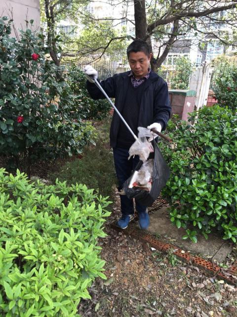 控制鼠害、預(yù)防疾病，構(gòu)建和諧文明社區(qū)